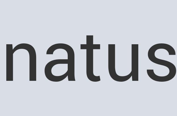 Aerodynamic Steel Carnage Asada