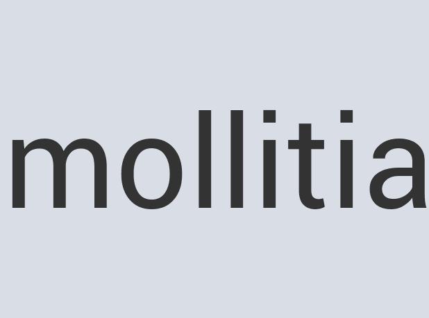 Lightweight Leather KoTexas